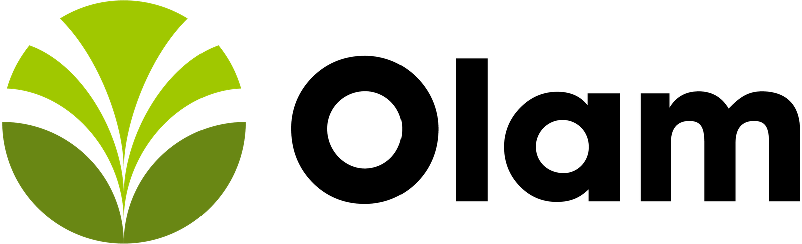 Olam